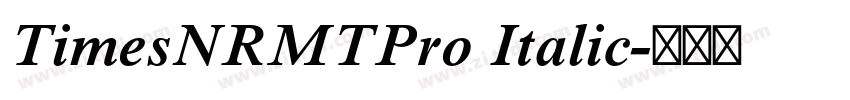 TimesNRMTPro Italic字体转换